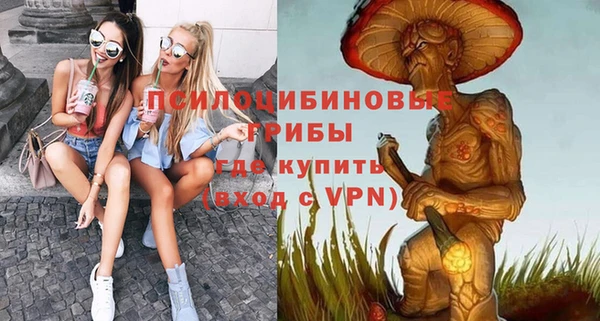 тгк Арсеньев