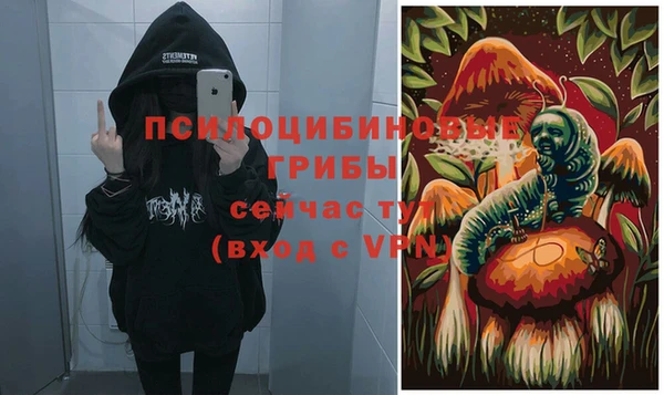 гидра Баксан