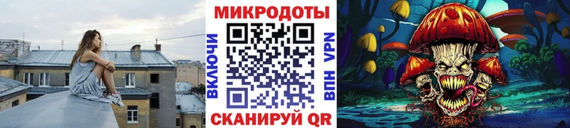 Галлюциногенные грибы Cubensis  блэк спрут ONION  Белокуриха 